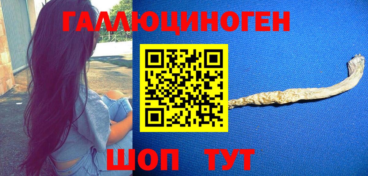 купить  цена  Галлюциногенные грибы GOLDEN TEACHER  Вход с VPN  Галлюциногенные грибы MAGIC MUSHROOMS  Сосновый Бор 