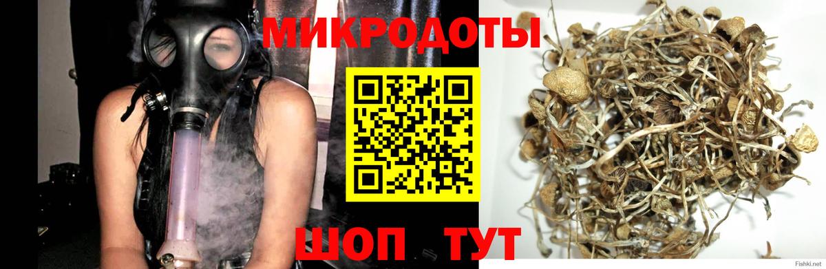 Галлюциногенные грибы ЛСД Сосновый Бор